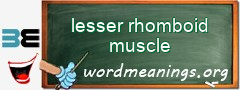 WordMeaning blackboard for lesser rhomboid muscle